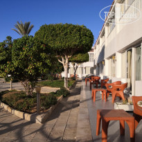 фото из отзыва ID 2319509