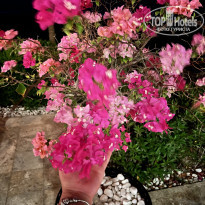 фото из отзыва ID 2319516