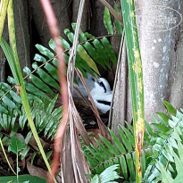 фото из отзыва ID 2319530