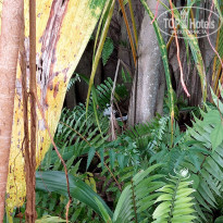 фото из отзыва ID 2319530