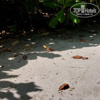 фото из отзыва ID 2319530