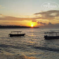 фото из отзыва ID 2319724