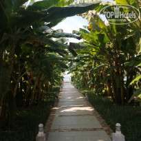 фото из отзыва ID 2319742