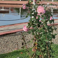 фото из отзыва ID 2319848