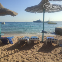 фото из отзыва ID 2319882