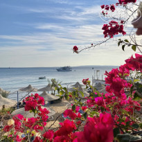 фото из отзыва ID 2319901