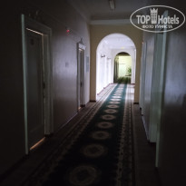 фото из отзыва ID 2319997