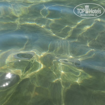 фото из отзыва ID 2312013