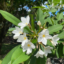 фото из отзыва ID 2319783