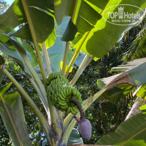 фото из отзыва ID 2319783