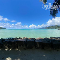 фото из отзыва ID 2319783