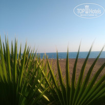 фото из отзыва ID 2317182