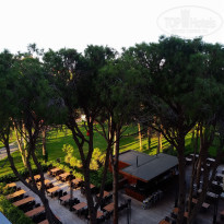 фото из отзыва ID 2317182