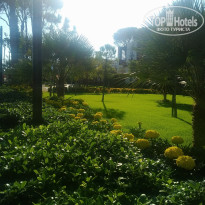 фото из отзыва ID 2317182