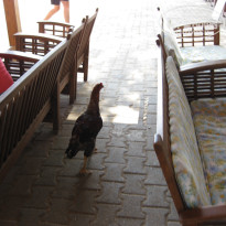 фото из отзыва ID 232708