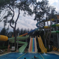 фото из отзыва ID 2320031