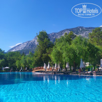 фото из отзыва ID 2320031