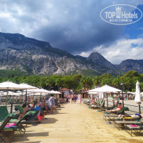 фото из отзыва ID 2320031