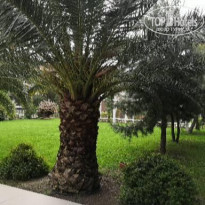 фото из отзыва ID 2320158