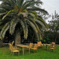 фото из отзыва ID 2320158