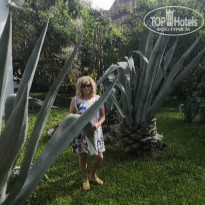 фото из отзыва ID 2320158