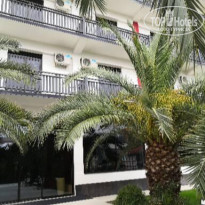 фото из отзыва ID 2320158