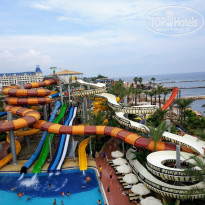 фото из отзыва ID 2320180