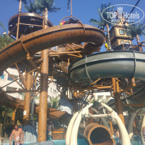 фото из отзыва ID 2320180