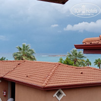 фото из отзыва ID 2320218