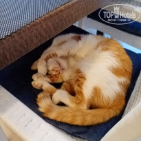 фото из отзыва ID 2320218