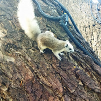 фото из отзыва ID 2320219