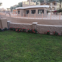 фото из отзыва ID 2320251