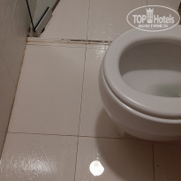 фото из отзыва ID 2320272