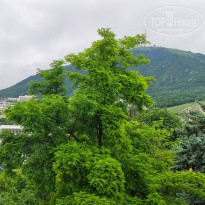 фото из отзыва ID 2320316