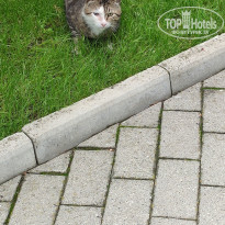 фото из отзыва ID 2320316