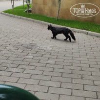 фото из отзыва ID 2320316