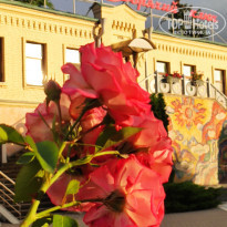 фото из отзыва ID 2320316