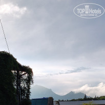 фото из отзыва ID 2320316