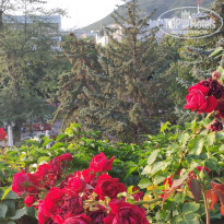 фото из отзыва ID 2320316