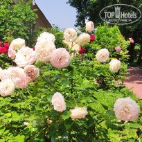 фото из отзыва ID 2320316