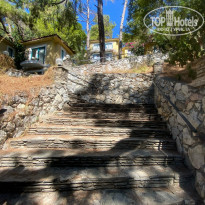 фото из отзыва ID 2320354