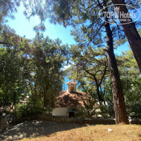 фото из отзыва ID 2320354