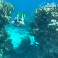 фото из отзыва ID 2320401