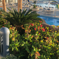 фото из отзыва ID 2320412