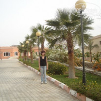 фото из отзыва ID 2320474