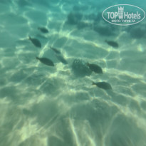 фото из отзыва ID 2320519