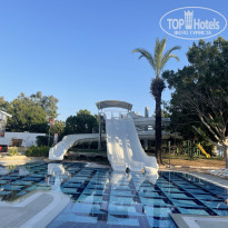 фото из отзыва ID 2320558