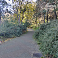 фото из отзыва ID 2320565