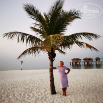 фото из отзыва ID 2320610