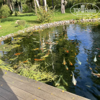 фото из отзыва ID 2320787